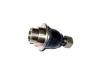  Ball Joint:40160-2S686