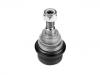 Ball Joint:77 00 312 851