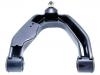  Control Arm:E4525-VK385